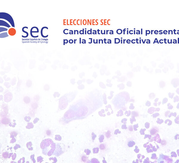 Elecciones SEC. Candidatura oficial presentada por la Junta Directiva Ejecutiva actual