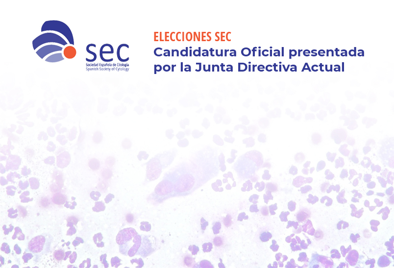 Lee más sobre el artículo Elecciones SEC. Candidatura oficial presentada por la Junta Directiva Ejecutiva actual