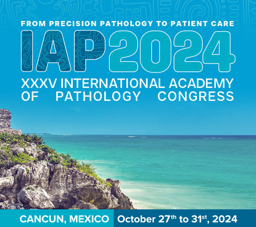 Lee más sobre el artículo XXXVth IAP Congress – Cancun, Mexico on 27-31 October 2024