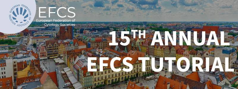 Lee más sobre el artículo Last Chance to register  to the 15th EFCS Annual Tutorial